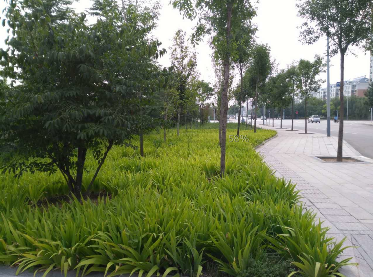 昌邑市同大街南侧绿化工程